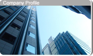 Company Profile